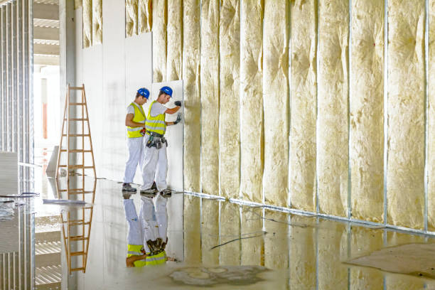 Best Types of Insulation in Nogales, AZ